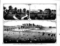 Stock Farm Views of Andrew Gwinn, Douglas County 1875